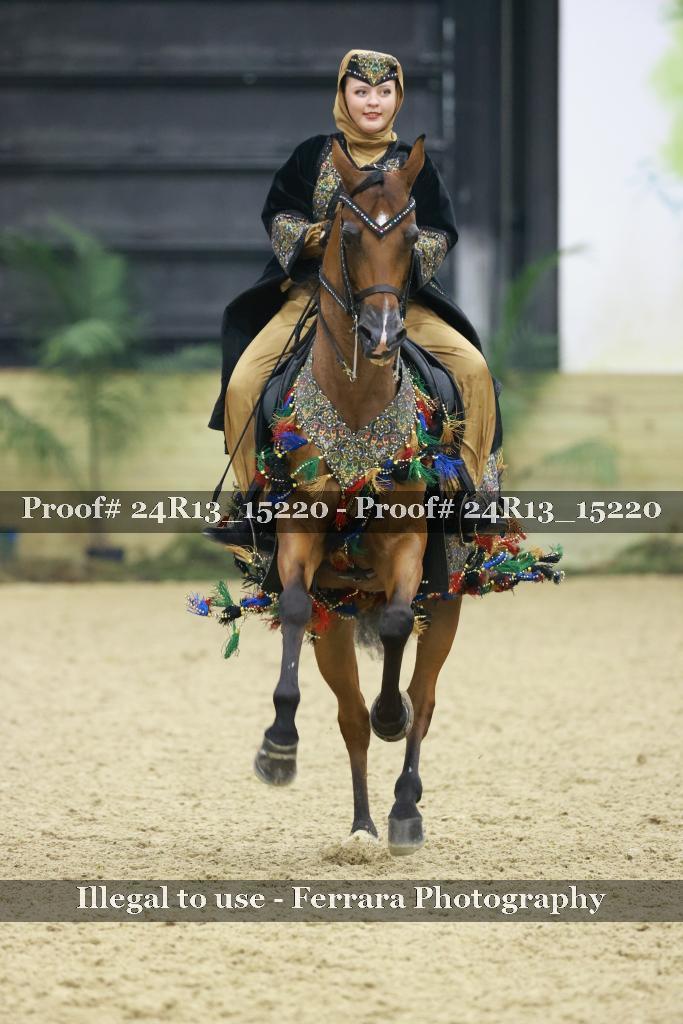Proof 24R13_15220