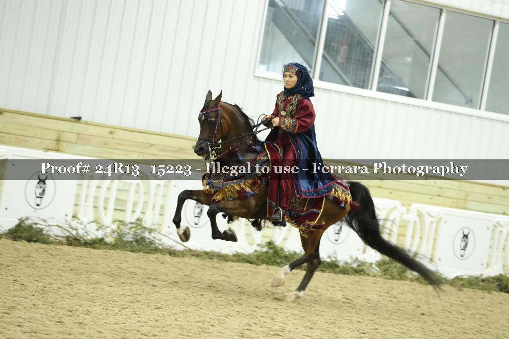 Proof 24R13_15223