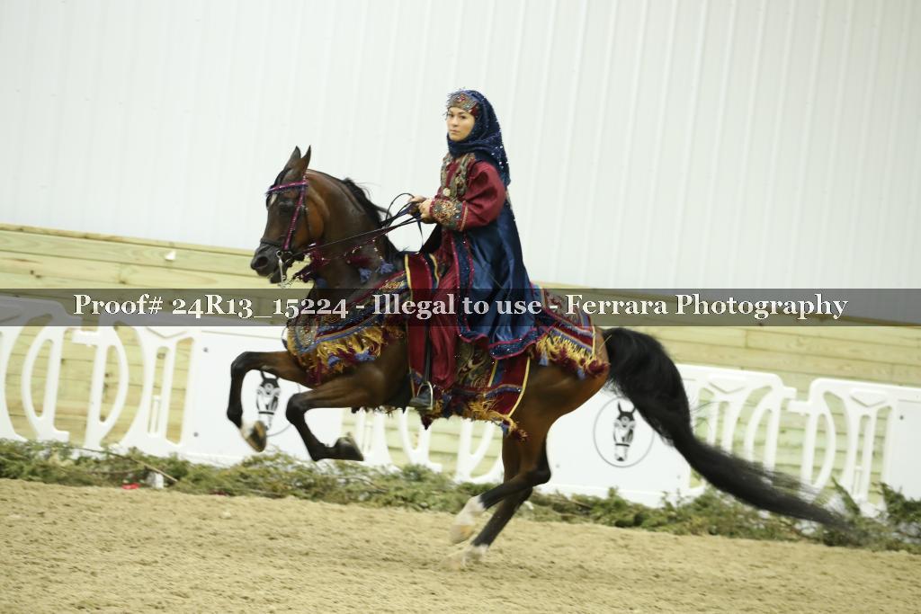 Proof 24R13_15224