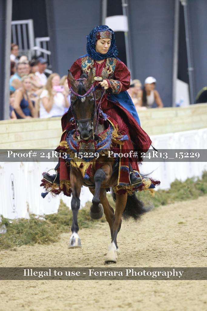 Proof 24R13_15229