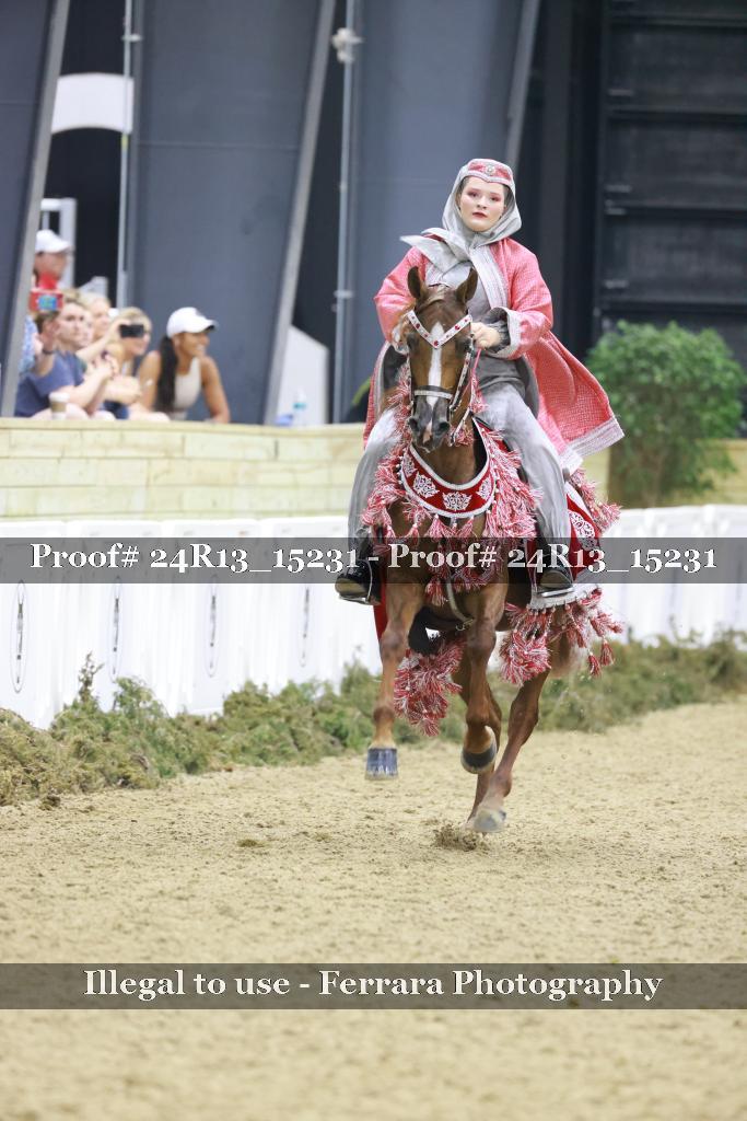 Proof 24R13_15231