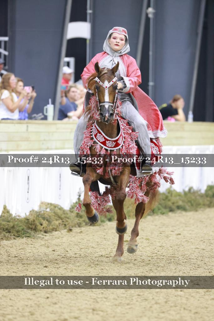 Proof 24R13_15233