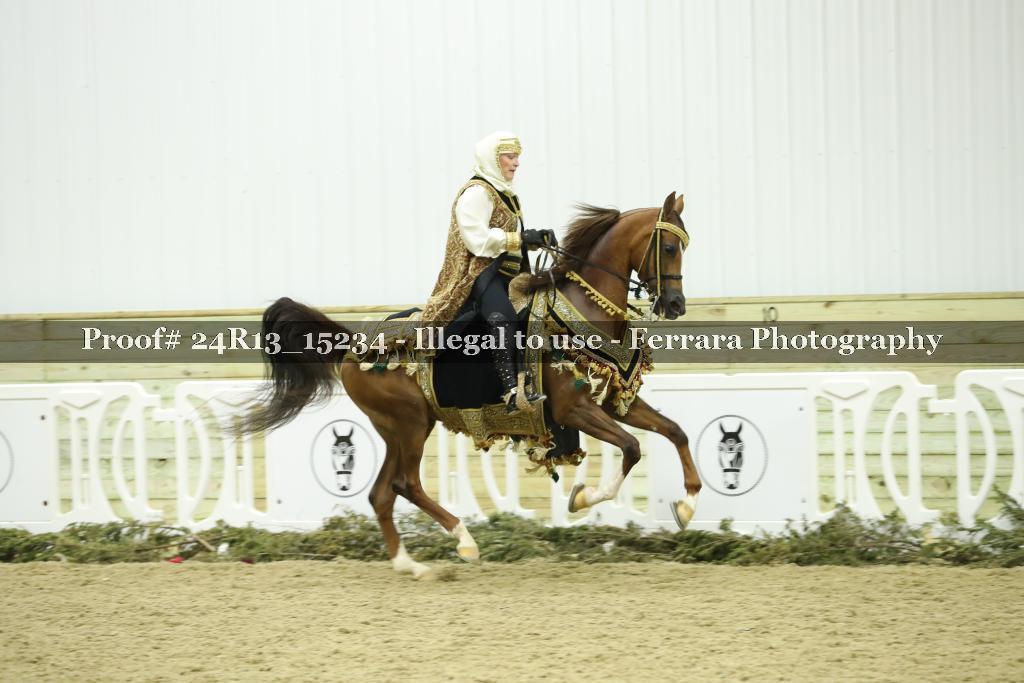 Proof 24R13_15234