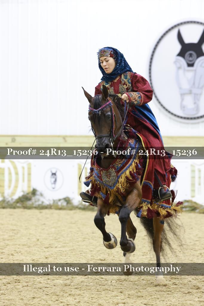 Proof 24R13_15236