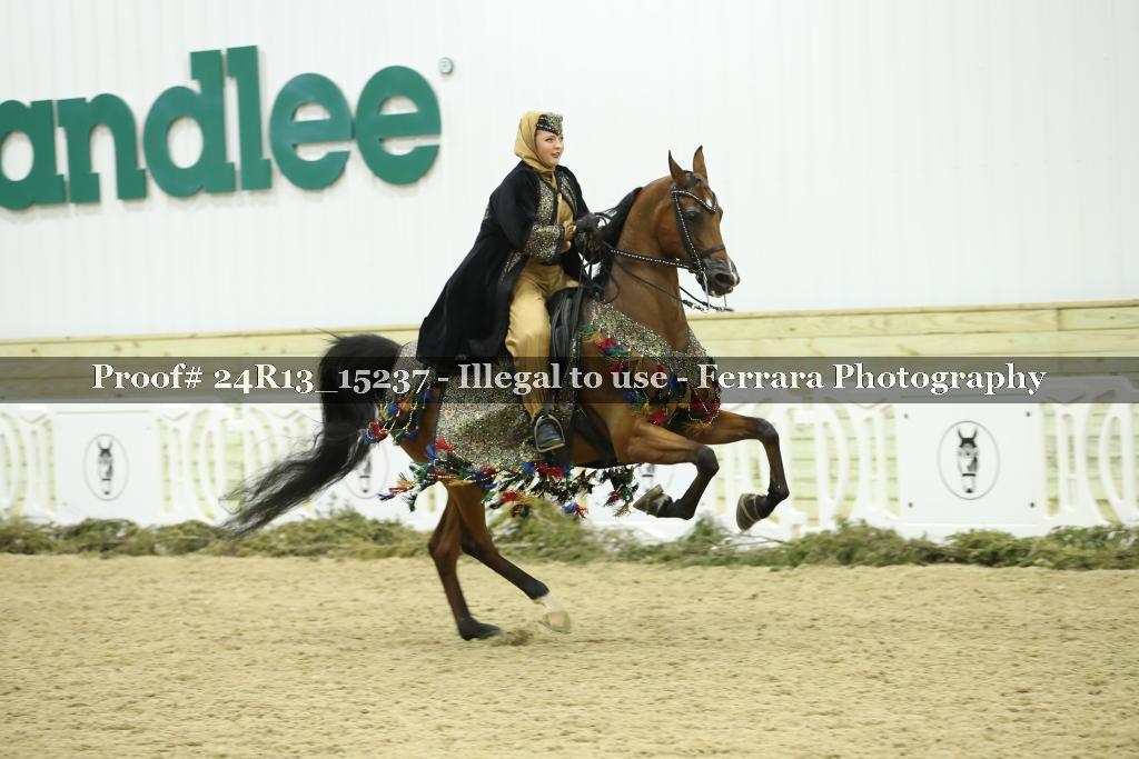 Proof 24R13_15237