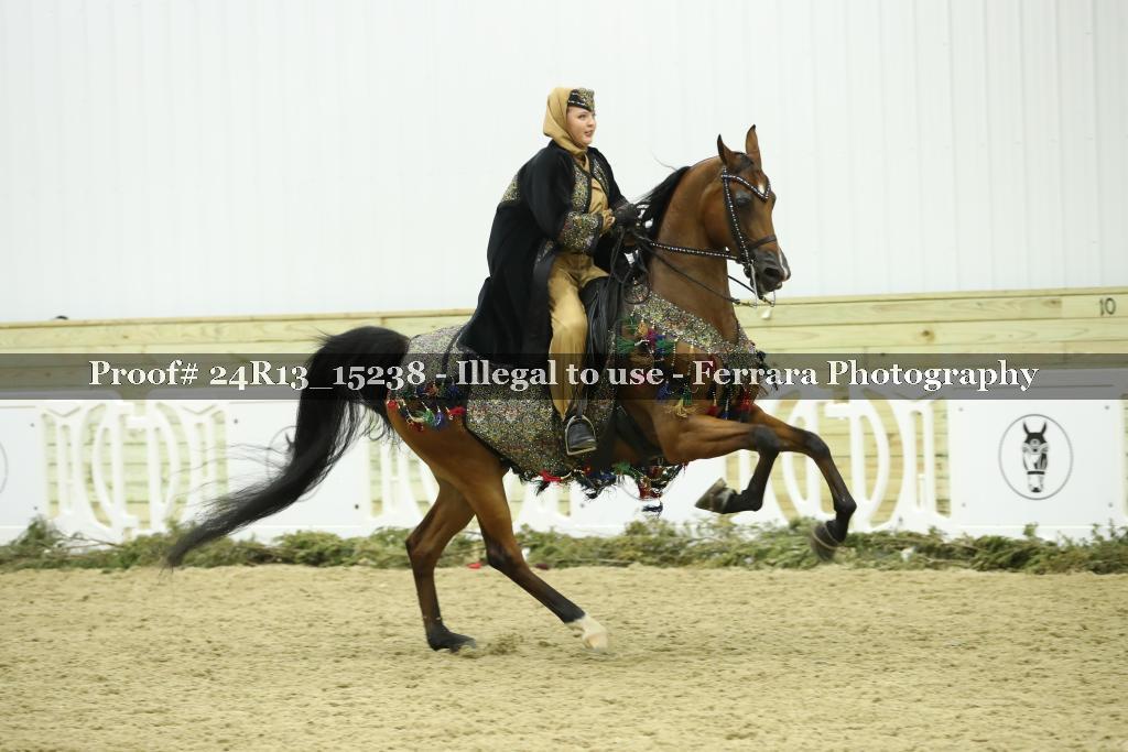 Proof 24R13_15238