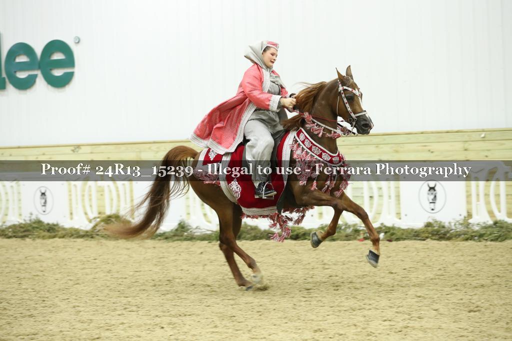 Proof 24R13_15239