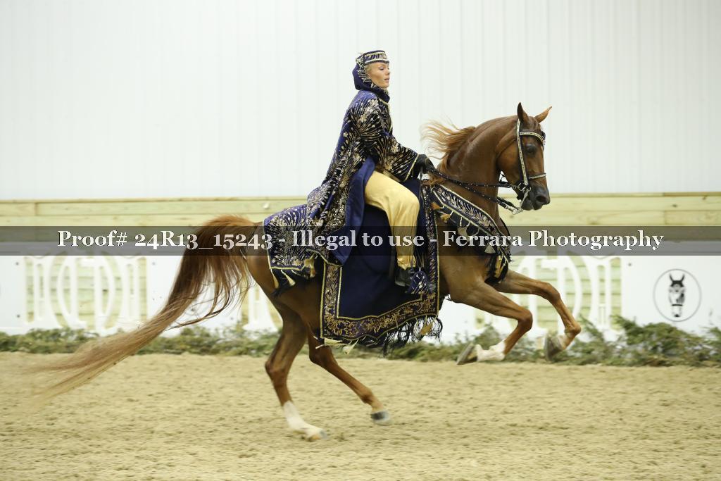 Proof 24R13_15243