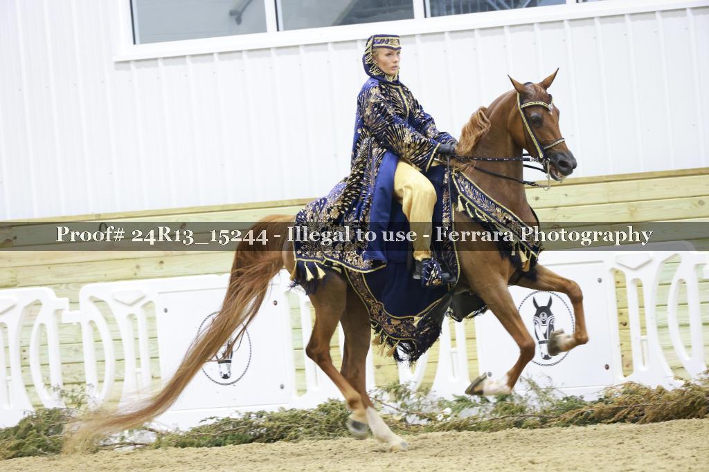 Proof 24R13_15244