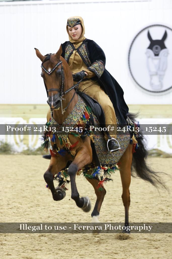 Proof 24R13_15245