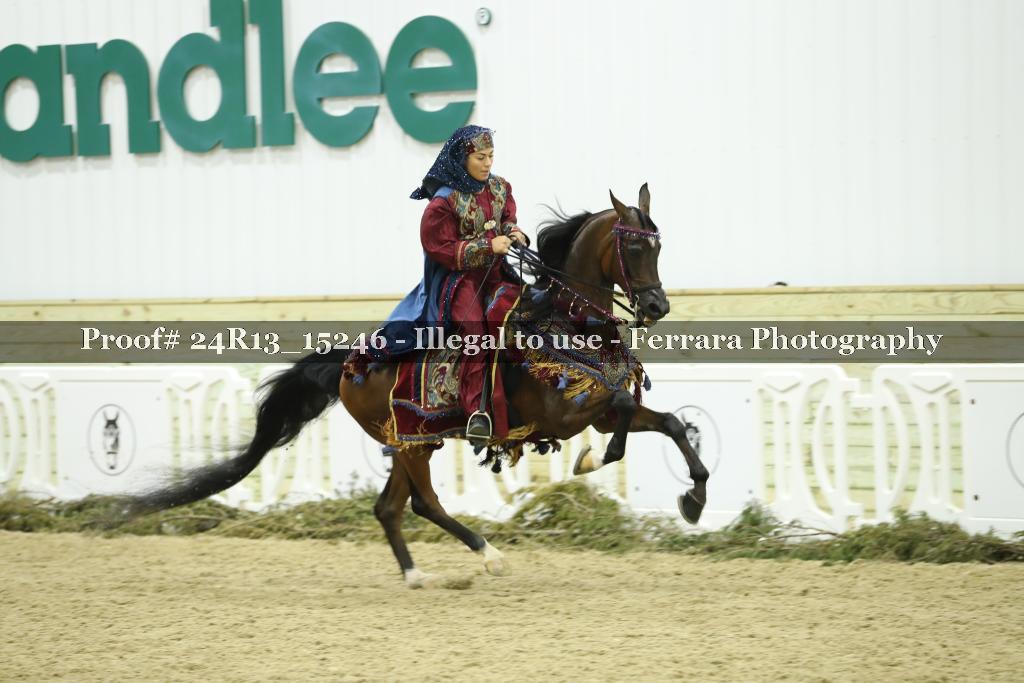 Proof 24R13_15246