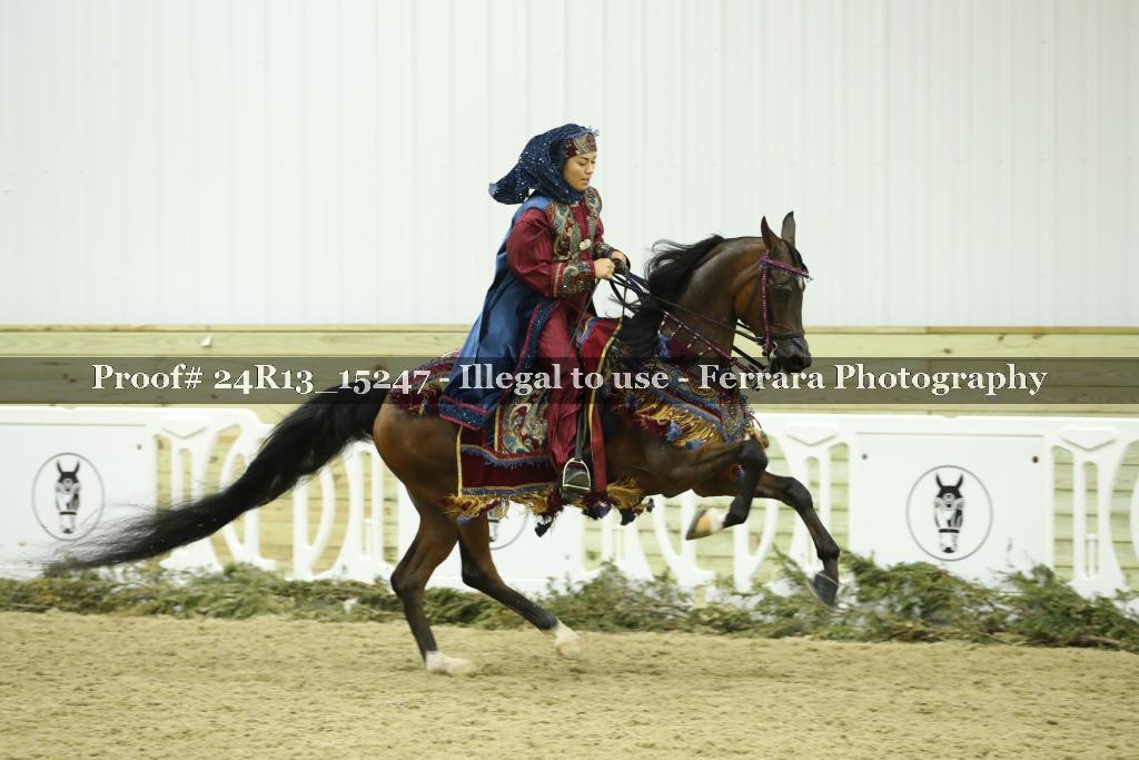 Proof 24R13_15247