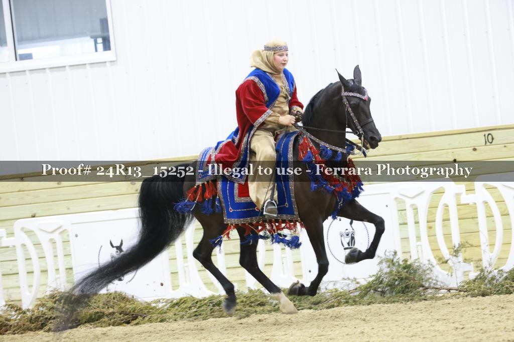 Proof 24R13_15252