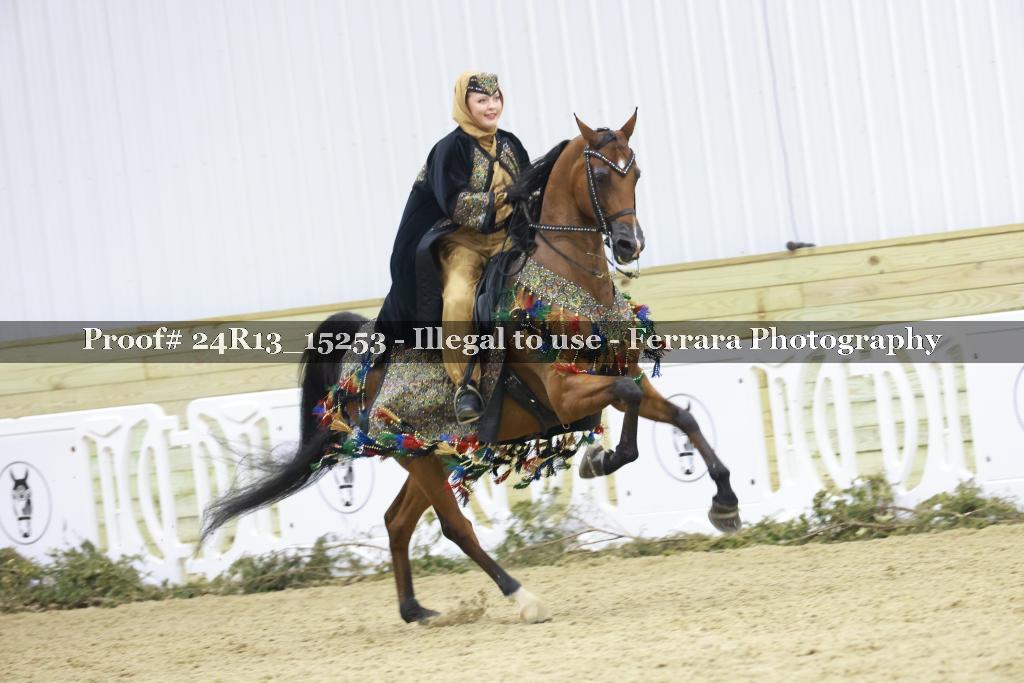 Proof 24R13_15253