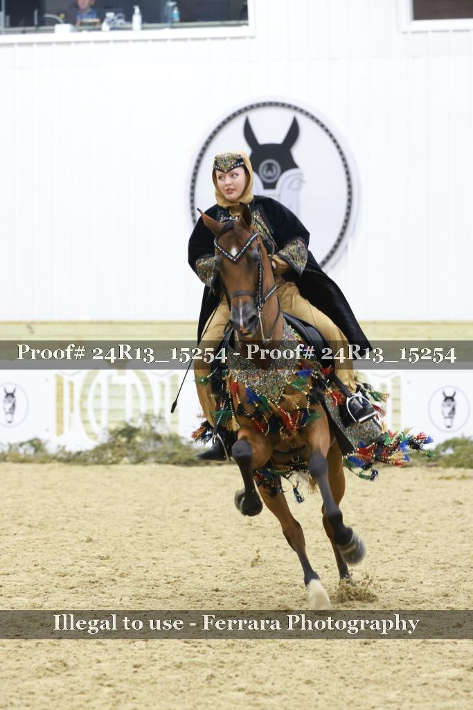 Proof 24R13_15254
