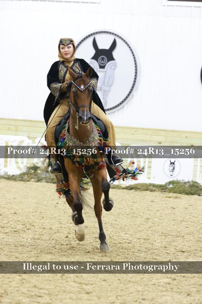 Proof 24R13_15256