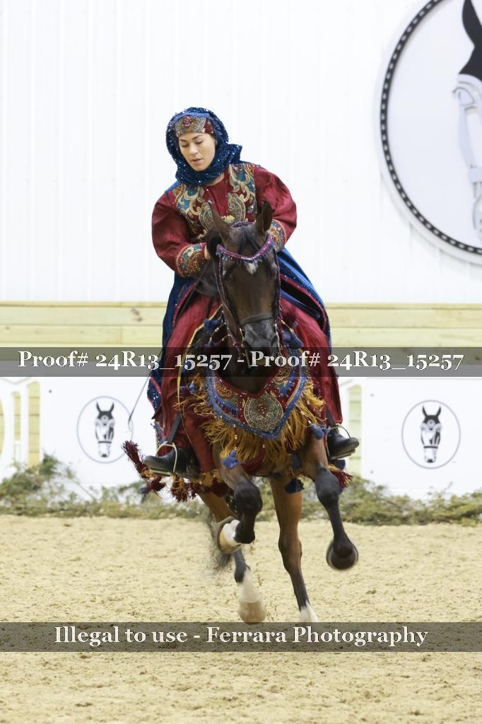 Proof 24R13_15257