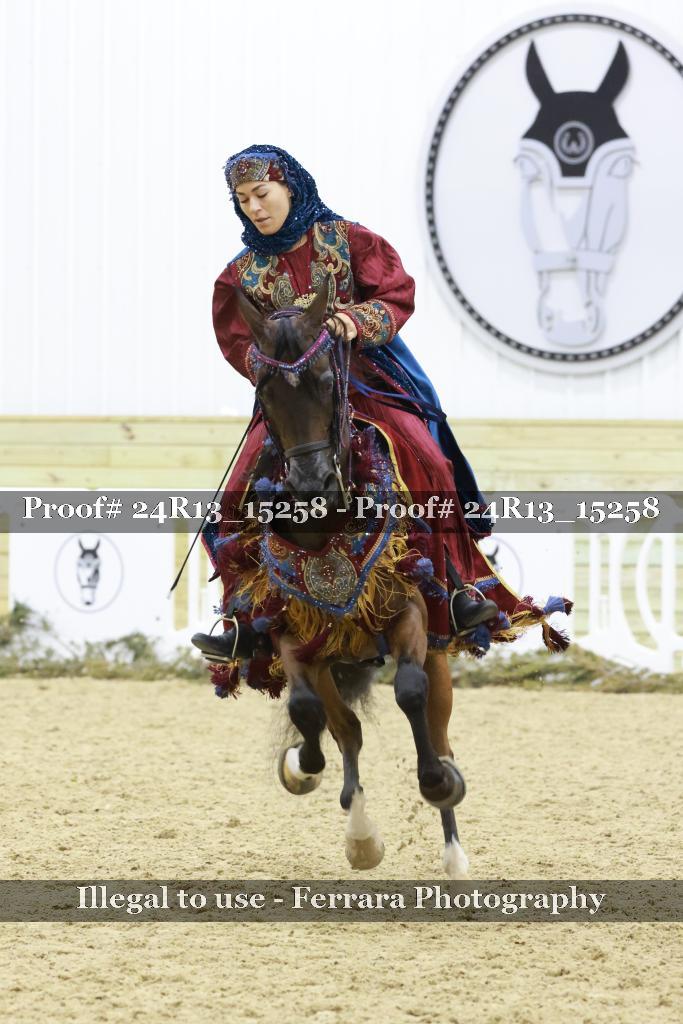 Proof 24R13_15258