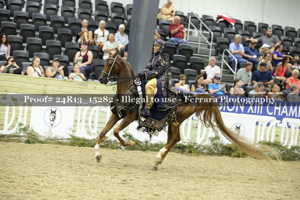 Proof 24R13_15282