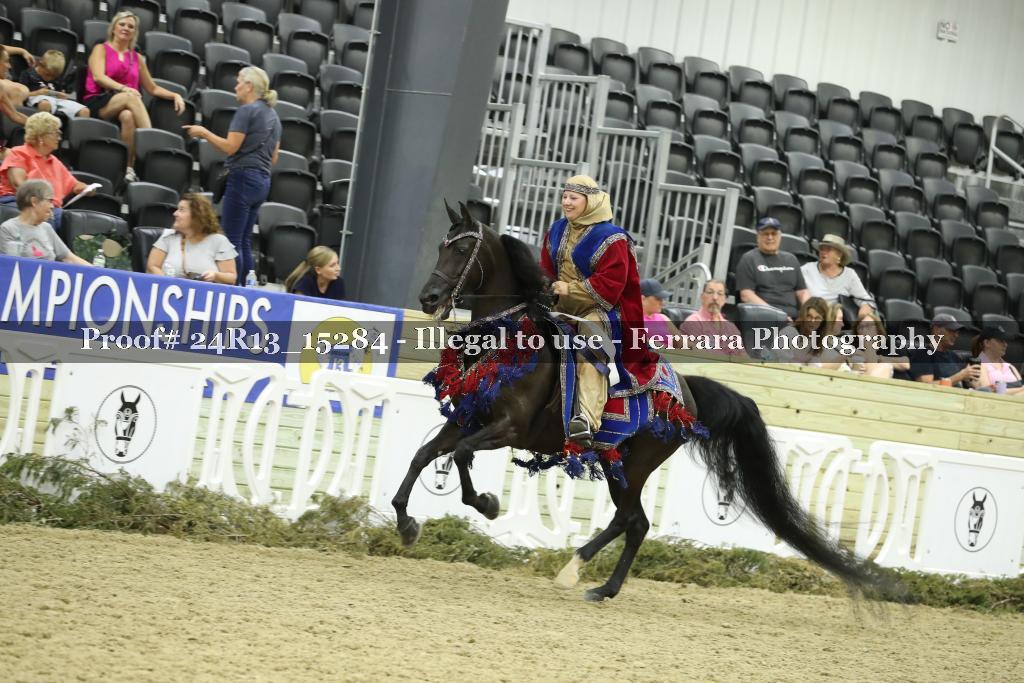Proof 24R13_15284