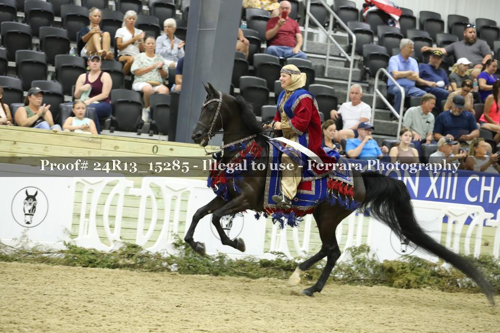 Proof 24R13_15285