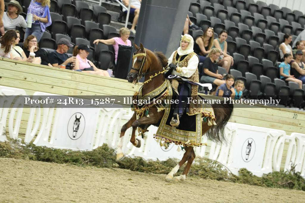Proof 24R13_15287