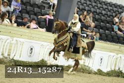 24R13_15287 proof