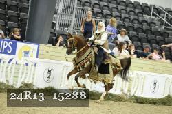 24R13_15288 proof