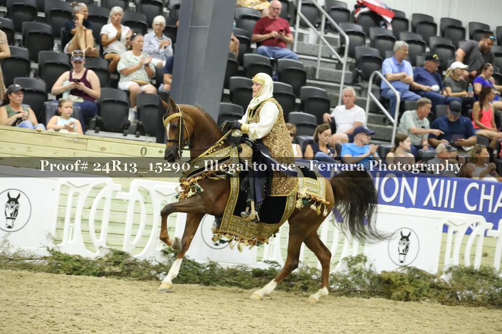 Proof 24R13_15290