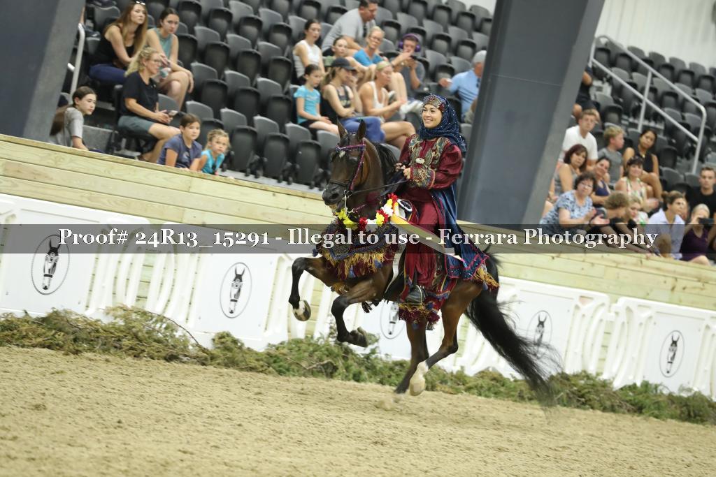 Proof 24R13_15291