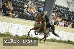24R13_15295 proof