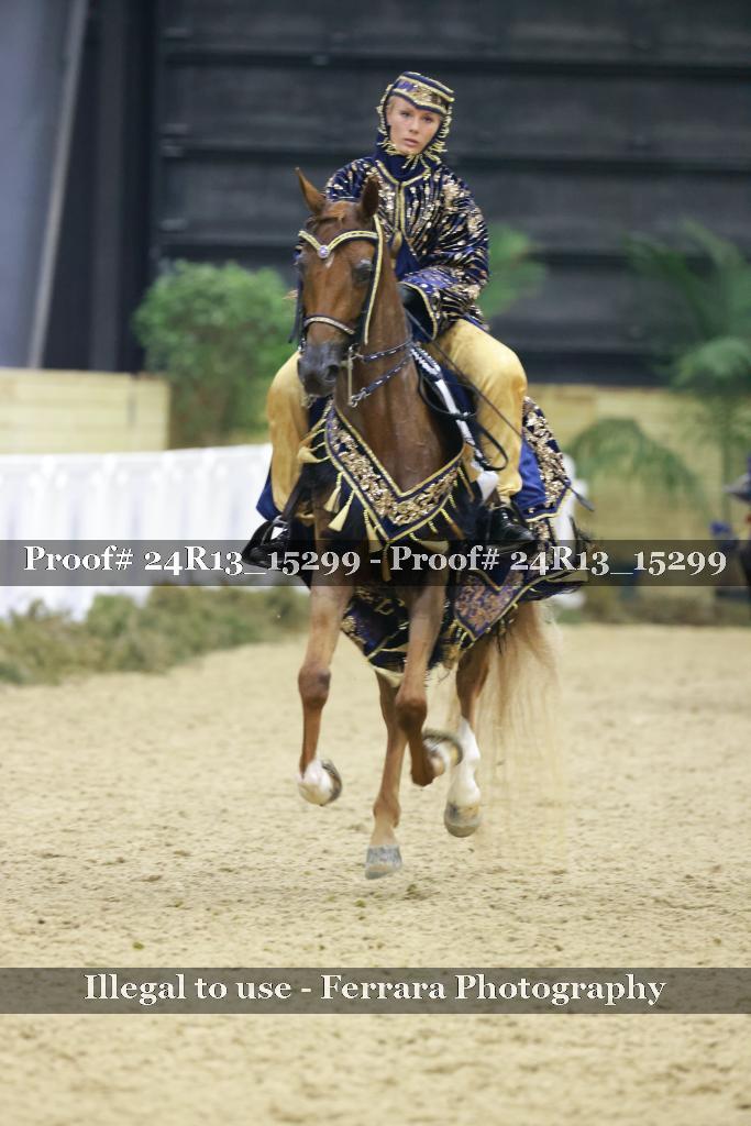 Proof 24R13_15299