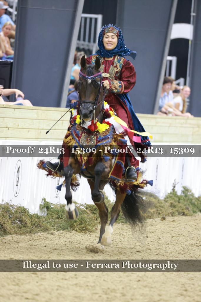 Proof 24R13_15309