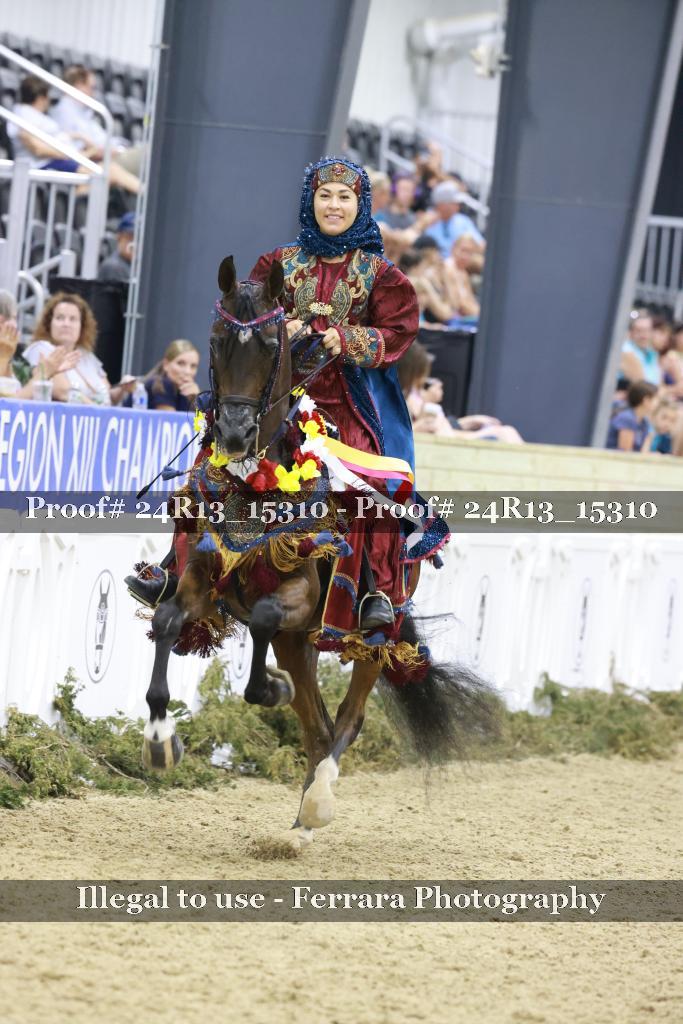 Proof 24R13_15310