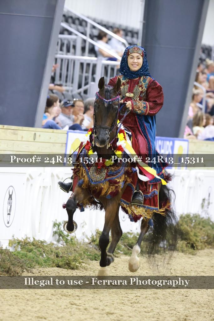 Proof 24R13_15311