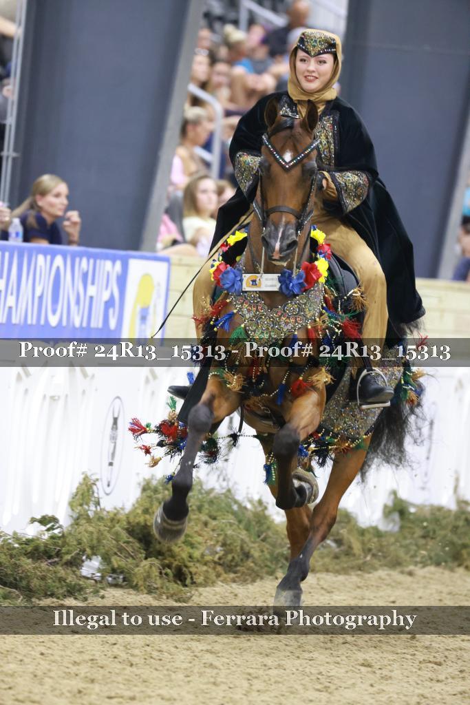 Proof 24R13_15313