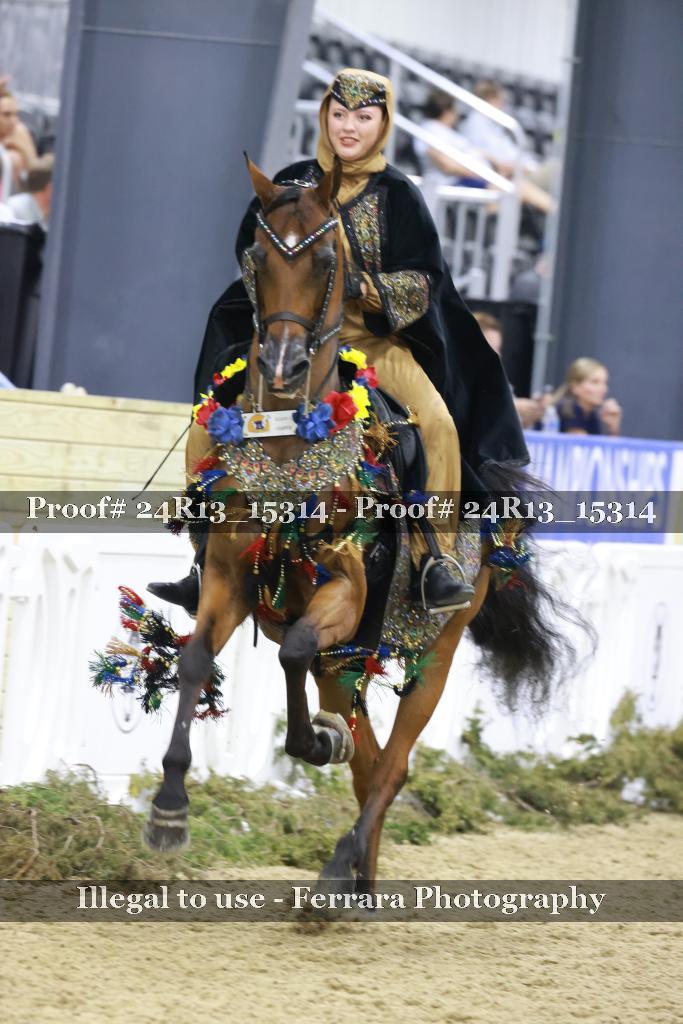 Proof 24R13_15314