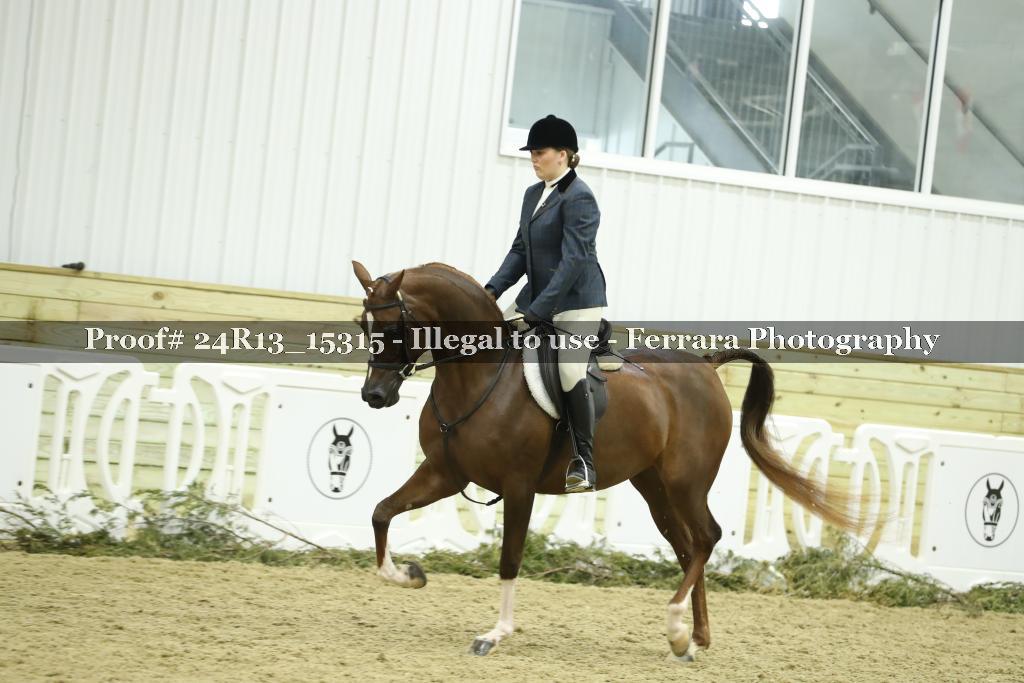Proof 24R13_15315