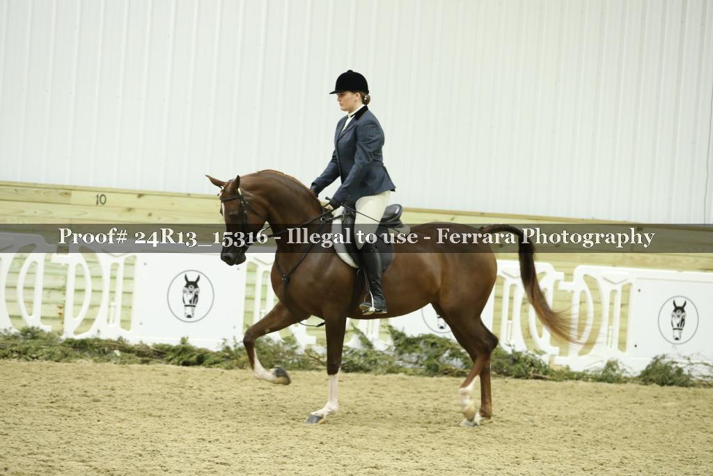 Proof 24R13_15316