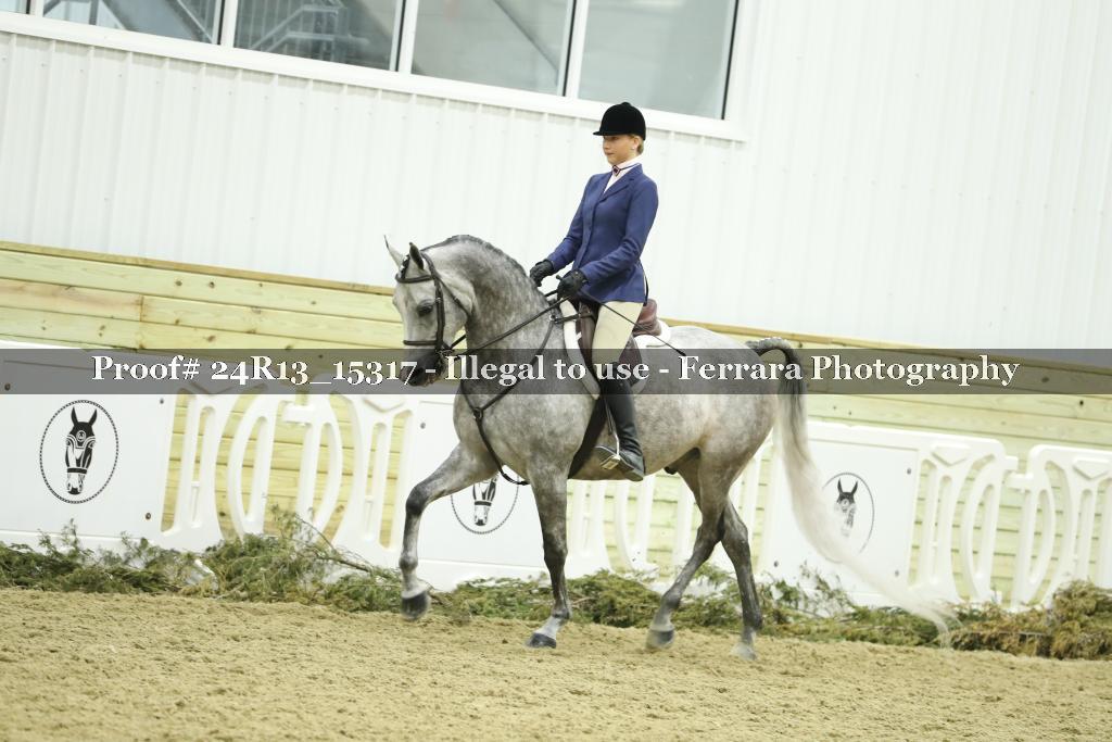 Proof 24R13_15317