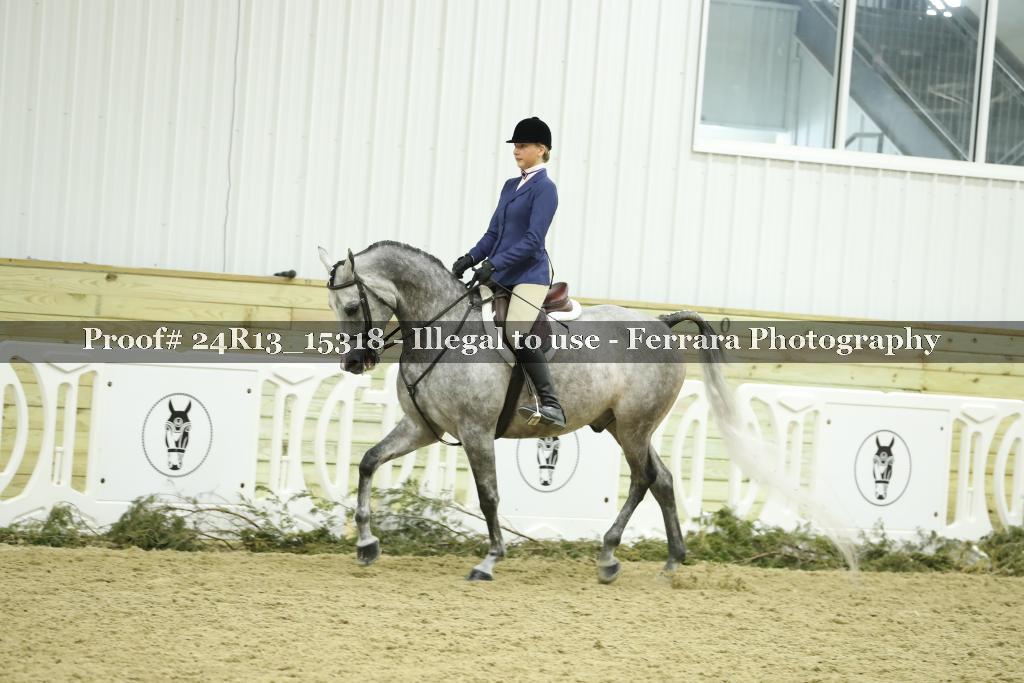 Proof 24R13_15318