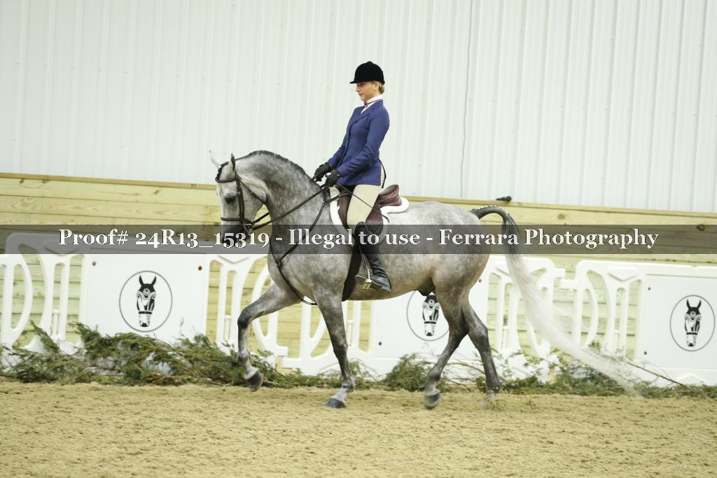 Proof 24R13_15319