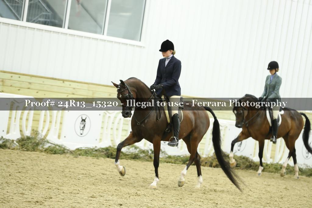 Proof 24R13_15320