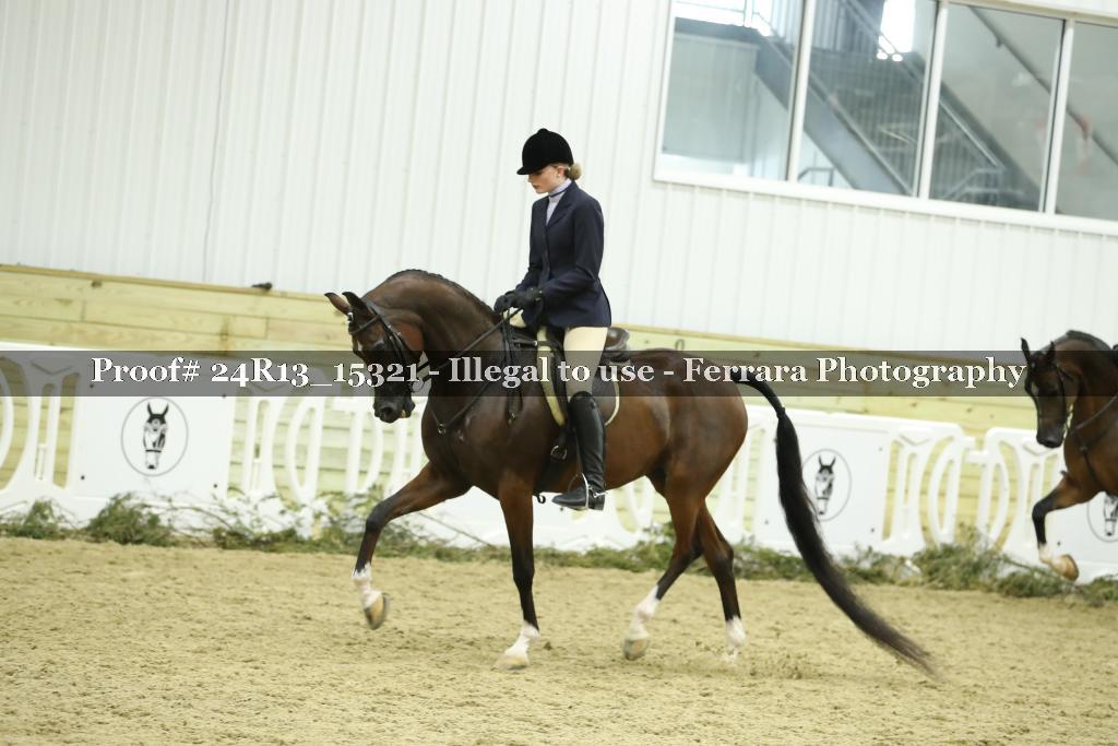 Proof 24R13_15321