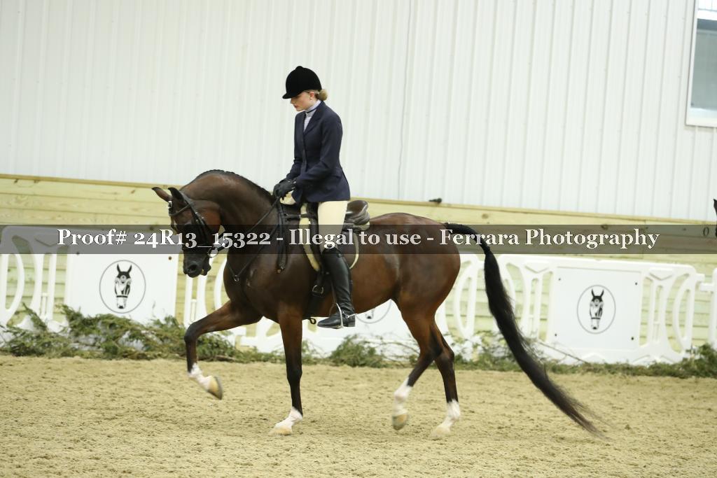 Proof 24R13_15322