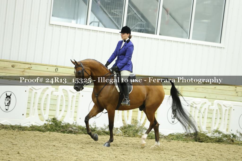 Proof 24R13_15325