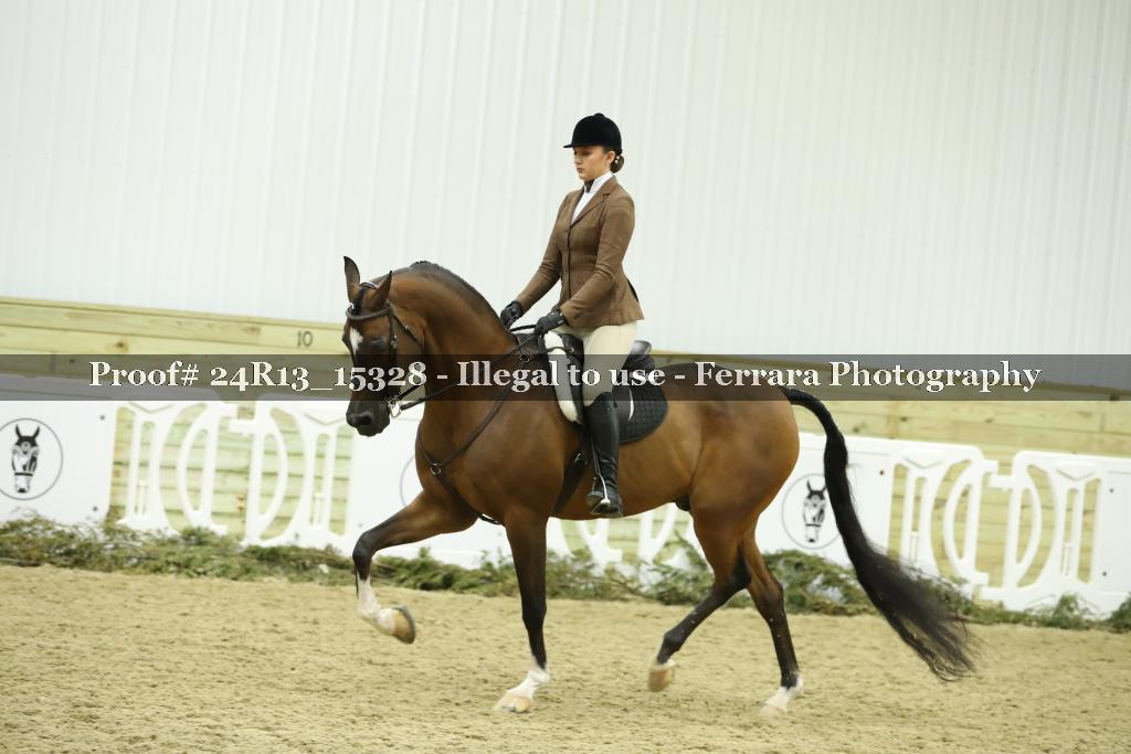 Proof 24R13_15328