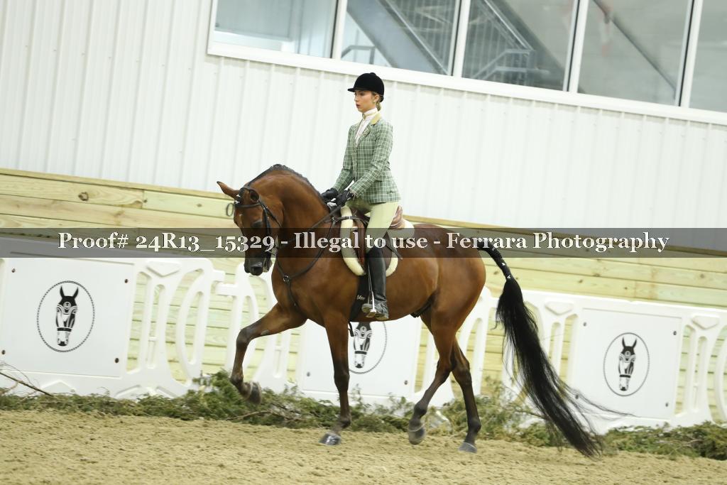 Proof 24R13_15329