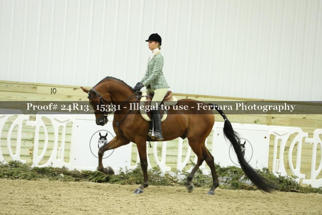 Proof 24R13_15331