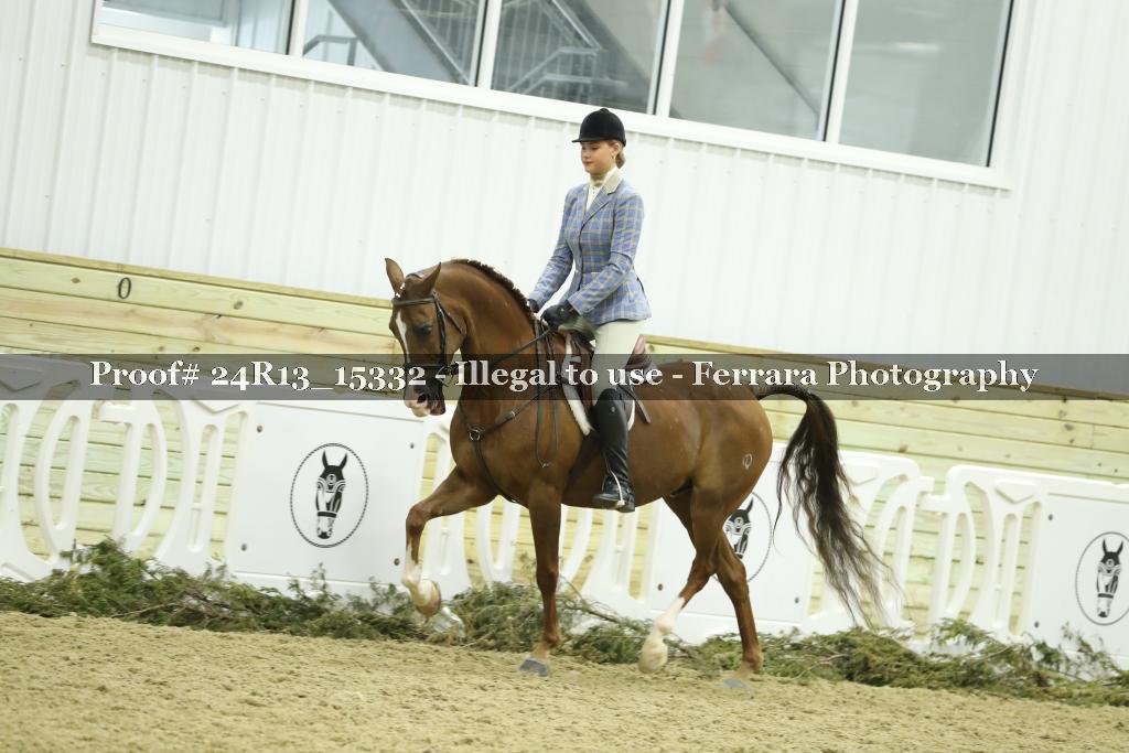Proof 24R13_15332